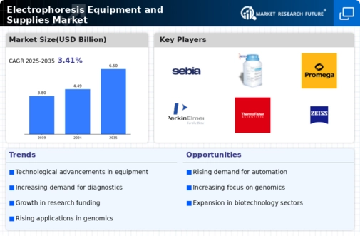 Electrophoresis Equipment And Supplies Market Infographic