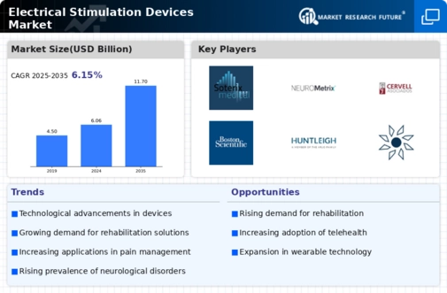 Electrical Stimulation Devices Market Infographic