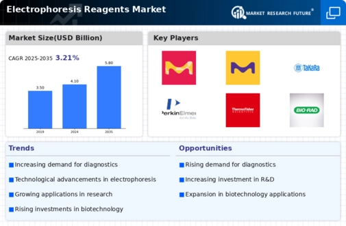 Electrophoresis Reagents Market Infographic