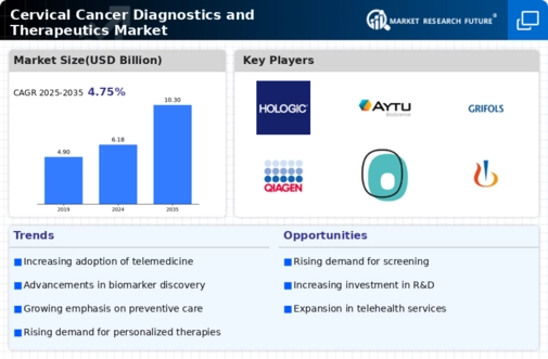 Cervical Cancer Diagnostics Therapeutics Market Infographic