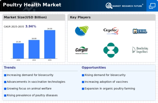 Poultry Health Market Infographic