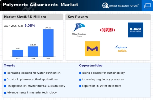 Polymeric Adsorbents Market Infographic