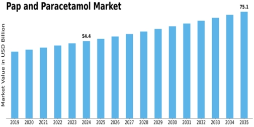 Pap Paracetamol Market Size
