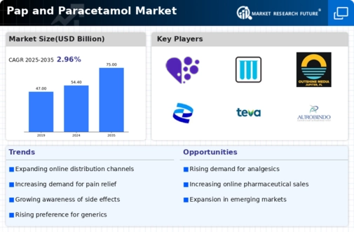 Pap Paracetamol Market Infographic