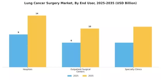 Lung Cancer Surgery Market Segment Image 0