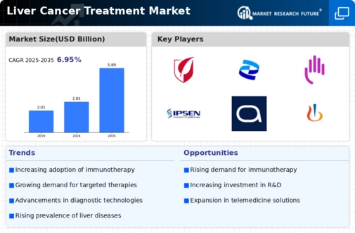 Liver Cancer Treatment Market Infographic