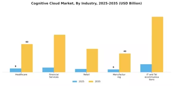Cognitive Cloud Market Segment Image 2