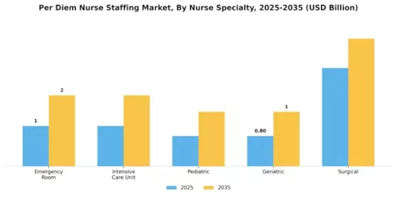 Per Diem Nurse Staffing Market Segment Image 1