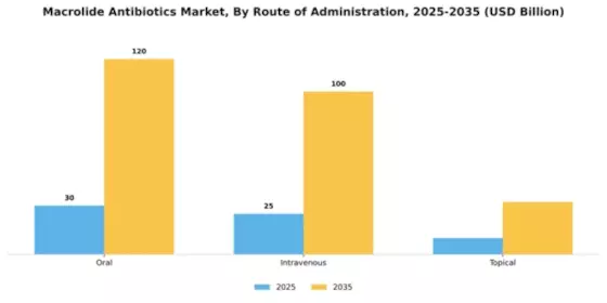 Macrolide Antibiotics Market Segment Image 2