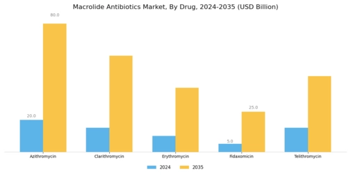 Macrolide Antibiotics Market Segment Image 0
