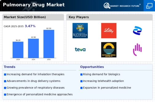 Pulmonary Drug Market Infographic