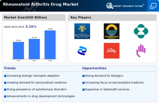 Rheumatoid Arthritis Drug Market Infographic