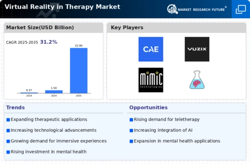 Virtual Reality Therapy Market Infographic