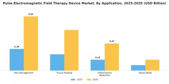 Pulse Electromagnetic Field Therapy Device Market Segment Image 0