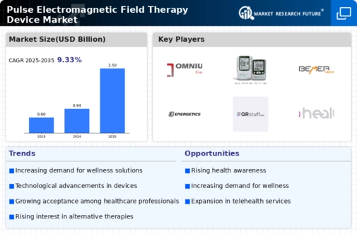 Pulse Electromagnetic Field Therapy Device Market Infographic