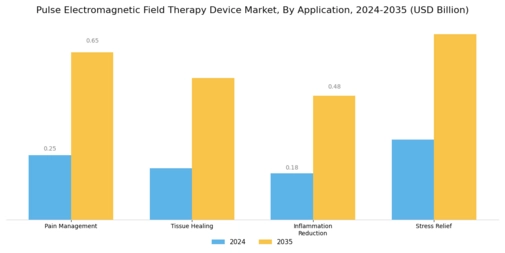 Pulse Electromagnetic Field Therapy Device Market Segment Image 0