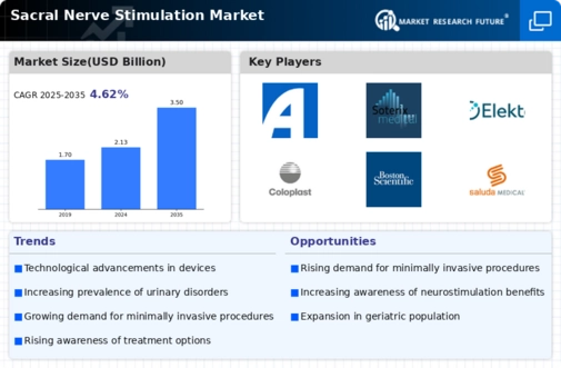 Sacral Nerve Stimulation Market Infographic