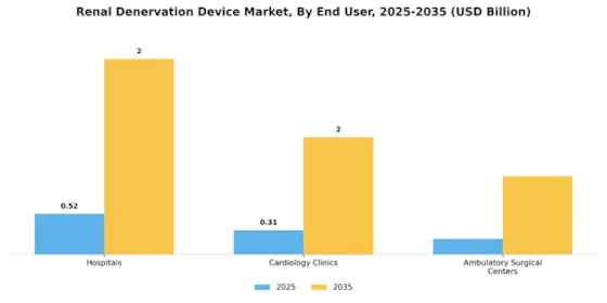 Renal Denervation Device Market Segment Image 0
