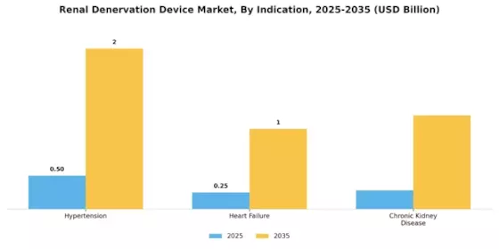 Renal Denervation Device Market Segment Image 1