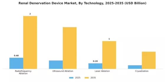 Renal Denervation Device Market Segment Image 3