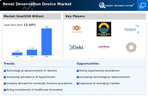 Renal Denervation Device Market Infographic