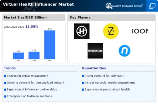 Virtual Health Influencer Market Infographic