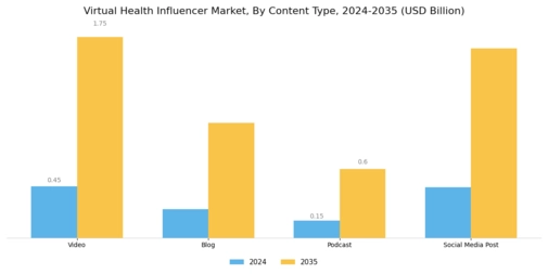 Virtual Health Influencer Market Segment Image 0
