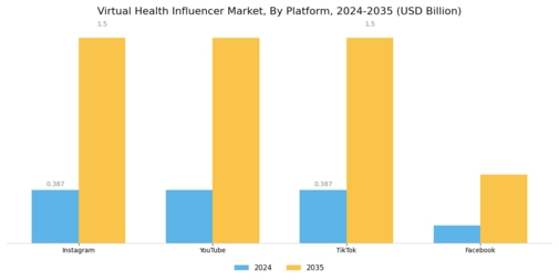 Virtual Health Influencer Market Segment Image 1