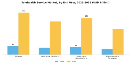 Telehealth Service Market Segment Image 1