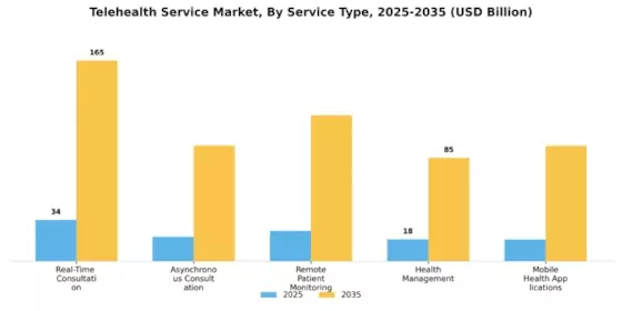 Telehealth Service Market Segment Image 2