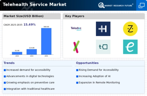 Telehealth Service Market Infographic