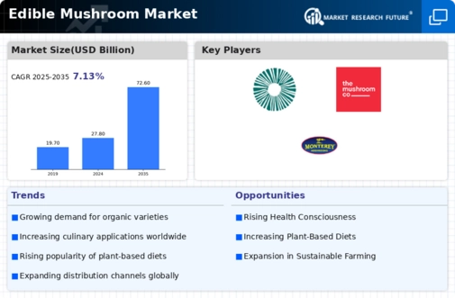 Edible Mushroom Market Infographic