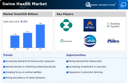 Swine Health Market Infographic