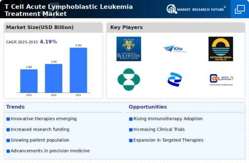 T Cell Acute Lymphoblastic Leukemia Treatment Market Infographic