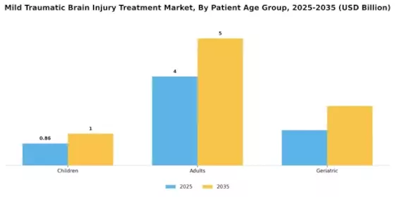Mild Traumatic Brain Injury Treatment Market Segment Image 1