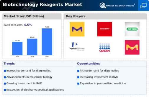Biotechnology Reagents Market Infographic