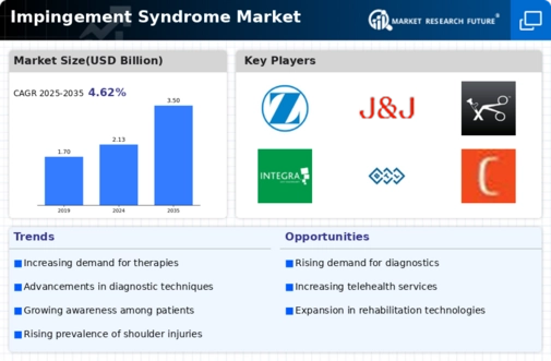 Impingement Syndrome Market Infographic
