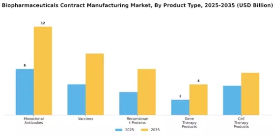 Biopharmaceuticals Contract Manufacturing Market Segment Image 1