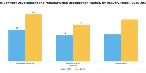 Small Molecule CDMO Market  Segment Image 0