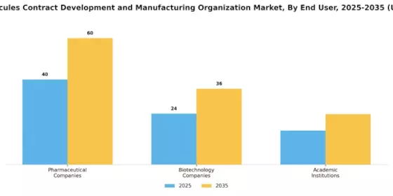 Small Molecule CDMO Market  Segment Image 1