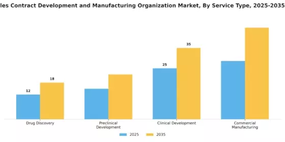 Small Molecule CDMO Market  Segment Image 2