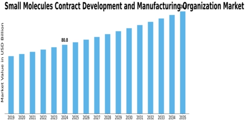 Small Molecule CDMO Market  Size
