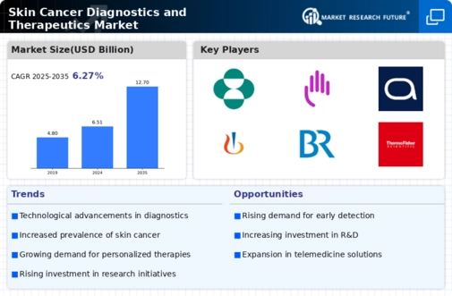 Skin Cancer Diagnostics Therapeutic Market Infographic