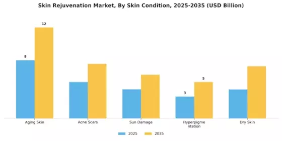 Skin Rejuvenation Market Segment Image 2
