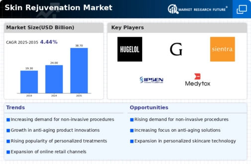 Skin Rejuvenation Market Infographic
