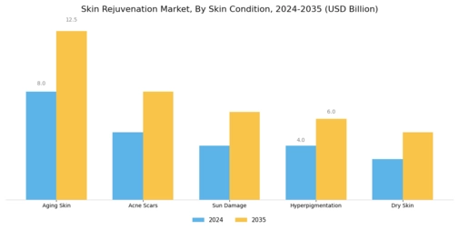 Skin Rejuvenation Market Segment Image 1
