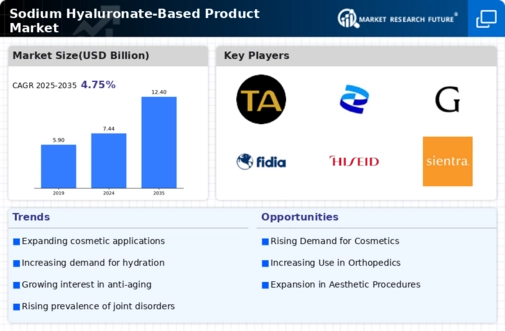 Sodium Hyaluronate Based Product Market Infographic