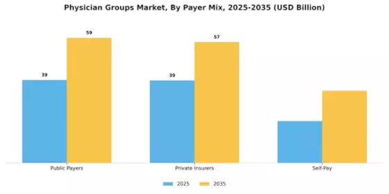 Physician Groups Market Segment Image 0