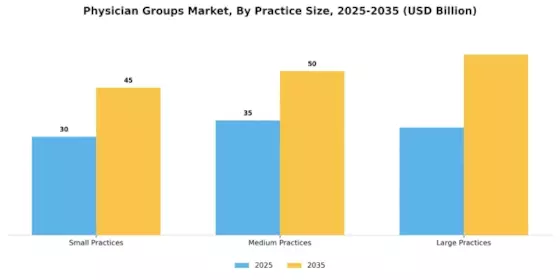 Physician Groups Market Segment Image 1