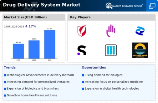 Drug Delivery System Market Infographic